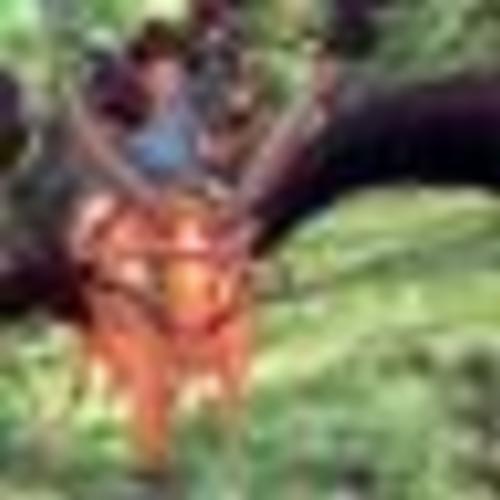 8f0673b264